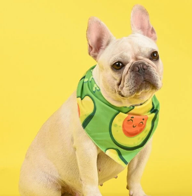 <span style="font-weight: bold;">Elaboración de prendas complemento&nbsp;</span>